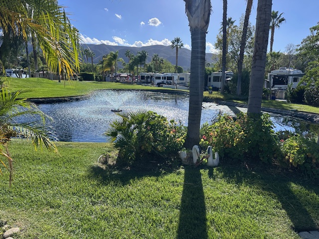 Site 110 ~ Amazing Waterfront Location