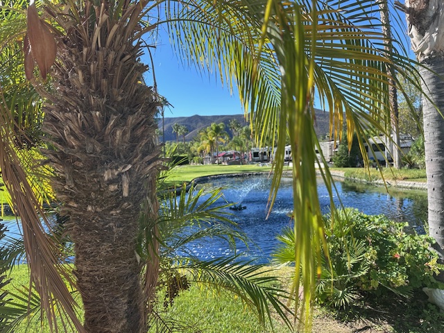 Site 110 ~ Amazing Waterfront Location