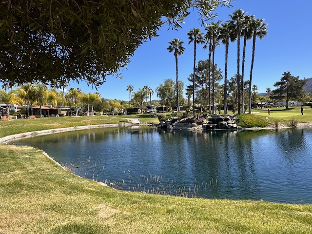 Site 514 – Stunning Lakefront Lot